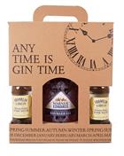 Gin Time presentförpackning inkl. Warner's Rhubarb Gin & 4 x Indian Tonic 